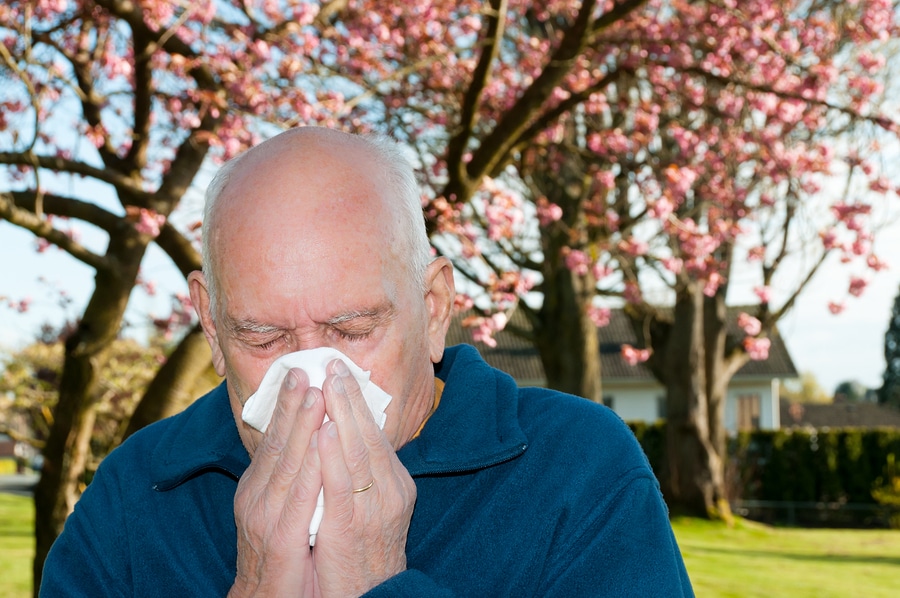 Home care providers can help seniors manage the effects of allergies.