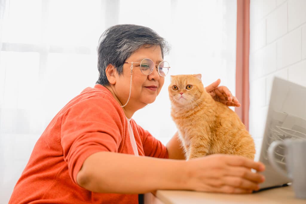 Home Care in Prospect, CT by Talem Home Care & Placement Services